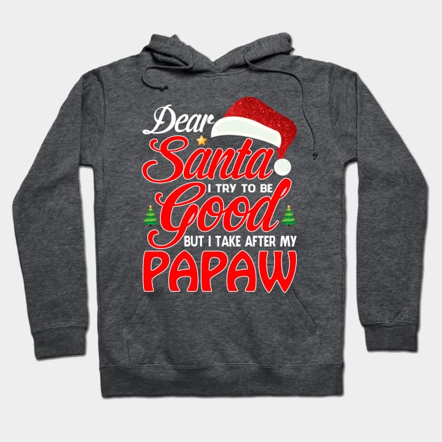 Dear Santa I Tried To Be Good But I Take After My PAPAW T-Shirt Hoodie by intelus